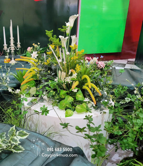 Setup Sự Kiện Cây Cỏ Lau Giả